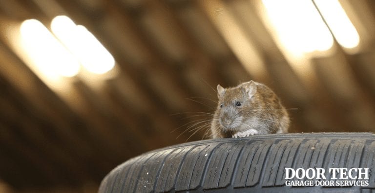 Five-tips-to-keep-pest-of-of-your-garage-facebook-image